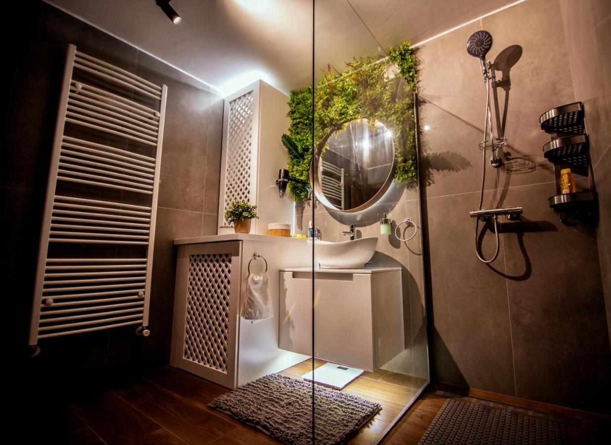 Royal Luxury Apartment Vrsac Exterior photo